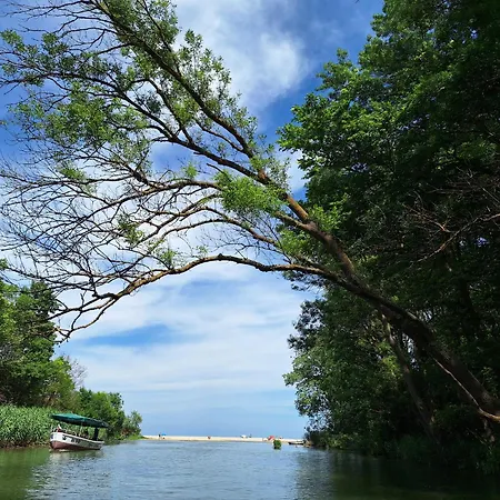 شقة Oasis Kamchia *