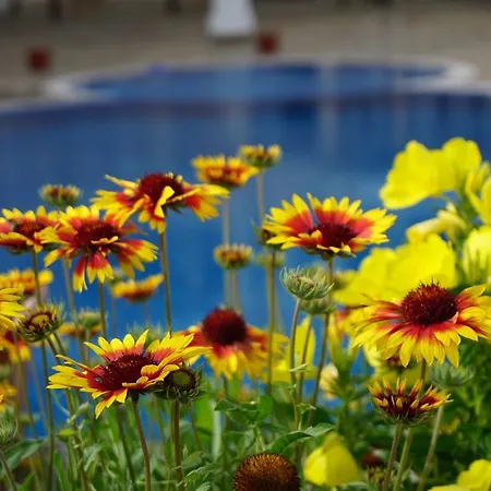 Апартаменты Oasis Kamchia