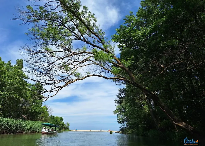 Apartment Oasis Kamchia *