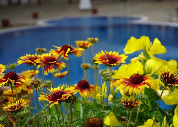 Appartement Oasis Kamchia